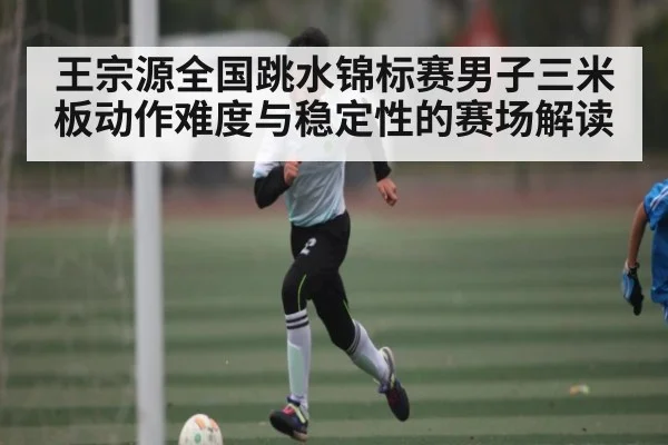 王宗源全国跳水锦标赛男子三米板动作难度与稳定性的赛场解读