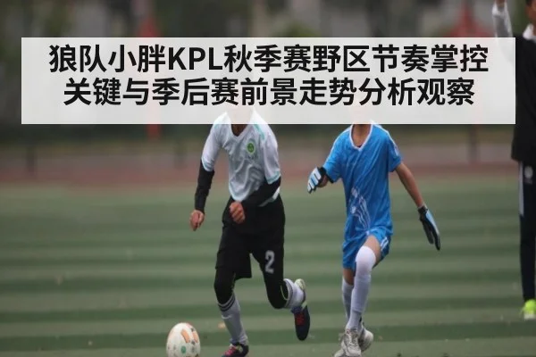 狼队小胖KPL秋季赛野区节奏掌控关键与季后赛前景走势分析观察